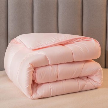 冬被春秋被子冬季保暖被芯四季通用單人學生宿舍太空被加厚棉被褥