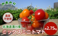  北海道 滝川市 産 ミックス ミニトマト 約2.75kg トマト 野菜 やさい みにとまと