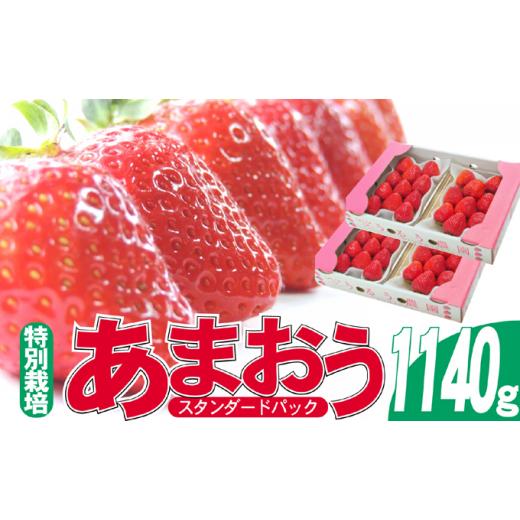 ふるさと納税 福岡県 朝倉市 いちご 2023年12月より発送 うるう農園のあまおう スタンダード4パック 約1.14kg※配送不可：離島