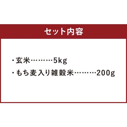 ふるさと納税 熊本県 菊池市 熊本県菊池産 ヒノヒカリ 玄米 5kg もち麦入り雑穀米 200g 米 お米 残留農薬ゼロ 低温貯蔵