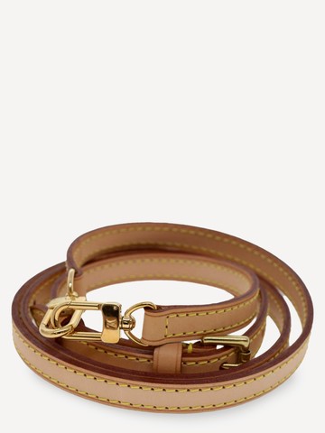 Louis Vuitton Bag Accessory