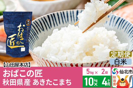 《定期便4ヶ月》令和5年産 仙北市産 おばこの匠 10kg×4回 計40kg 秋田県産あきたこまち 秋田こまち お米 4か月 4ヵ月 4カ月 4ケ月