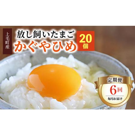 ふるさと納税 放し飼いたまご『かぐやひめ』20個　6回（毎月）コース　04T-009 福岡県上毛町