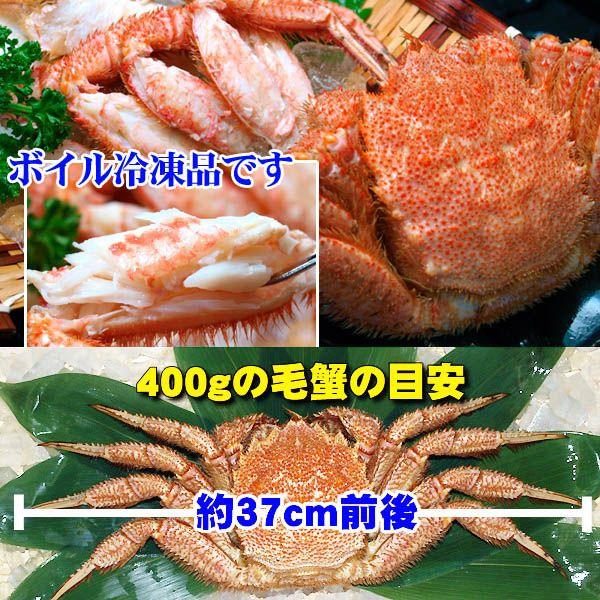 北海道産　毛ガニ　ボイル冷凍 450ｇ×2尾入り 中型　毛がに姿 カニ味噌 かに通販 毛蟹お取り寄せ ギフト