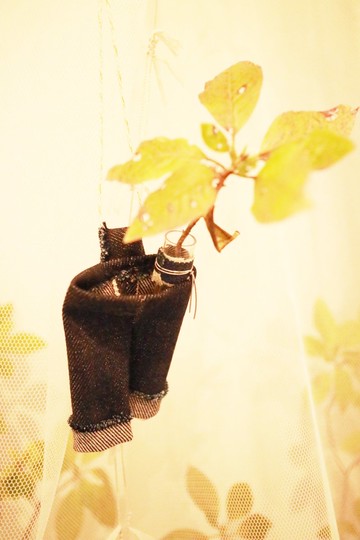 Baum 牛仔褲花底褲