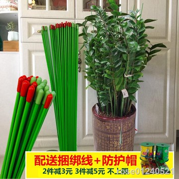 🚚免運🚚現貨🚚✐✷室內花架子金錢樹綠蘿蔬菜瓜果爬藤支架花卉植物支撐桿蘭花固定架