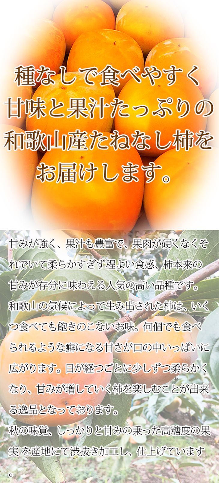 和歌山秋の味覚　平核無柿（ひらたねなしがき）　約７.５kg ※2024年10月上旬頃～2024年10月下旬頃に順次発送予定