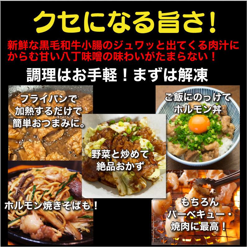 黒毛和牛 ホルモン 焼き肉 小腸 味噌だれ漬け 1kg 宮崎県産 送料無料 BBQ おつまみ おかず クール便