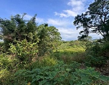 獨家代理平鎮復旦高雙段稀有都內農｜桃園市平鎮區長安路
