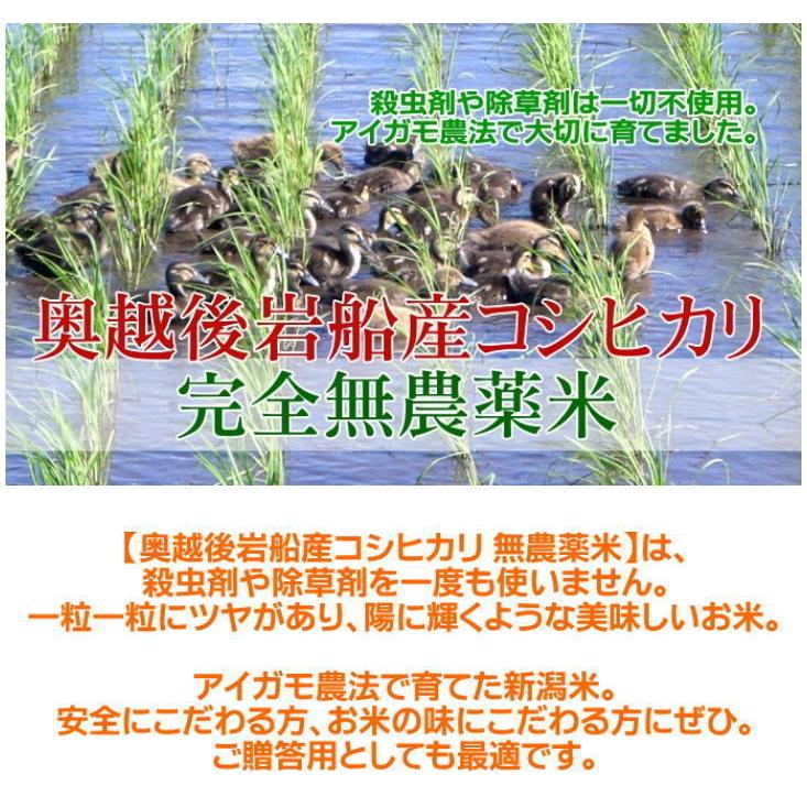 玄米 農薬無使用 コシヒカリ 5kg   希少米 合鴨農法 新潟 岩船産 令和5年産 新米   人気 おいしい 新潟米 こしひかり 送料無料