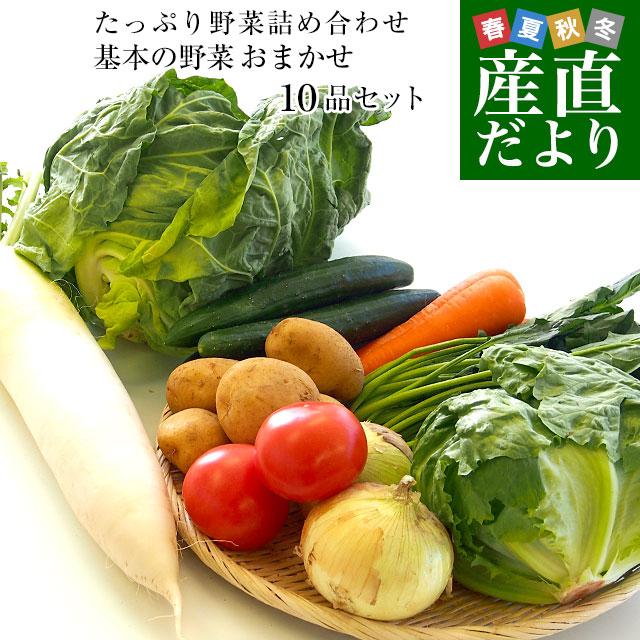 市場からご自宅へ直送　たっぷり野菜詰め合わせ　応援セット　（国産おまかせ野菜１０品セット）