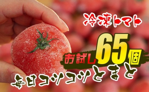 冷凍トマト・65個／約3kg 毎日の料理に使える！