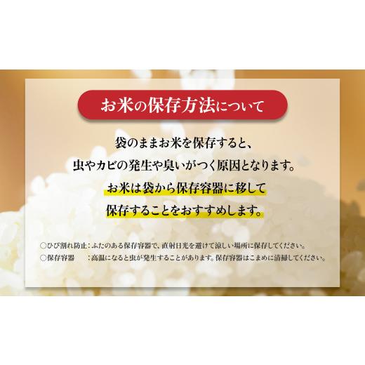 ふるさと納税 鹿児島県 大崎町 大崎産「なつほのか」20kg