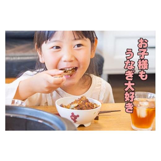 ふるさと納税 愛知県 名古屋市 炭焼うな富士　国産お茶碗うなぎ５杯分