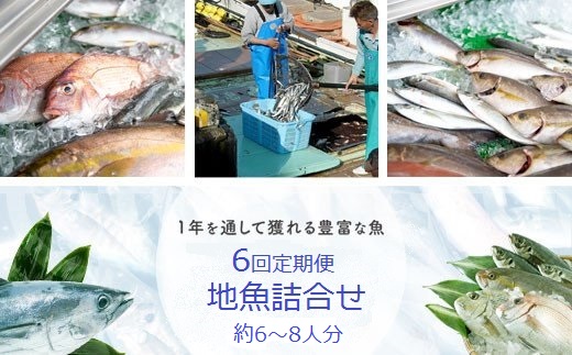 魚屋さんの選んだ新鮮お魚詰め合わせ（約6~8人分）