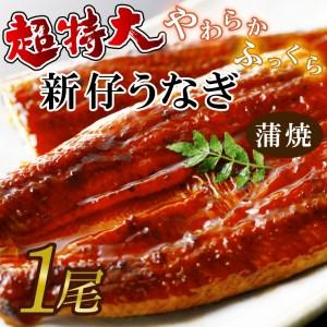 ふるさと納税 AD-96　やわらか新仔うなぎ超特大蒲焼230〜250ｇ　1尾 茨城県行方市