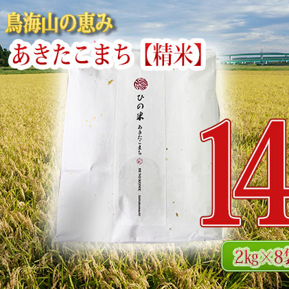 《定期便》16kg×9ヶ月 秋田県産 あきたこまち 精米 2kg×8袋 神宿る里の米「ひの米」（お米 小分け）