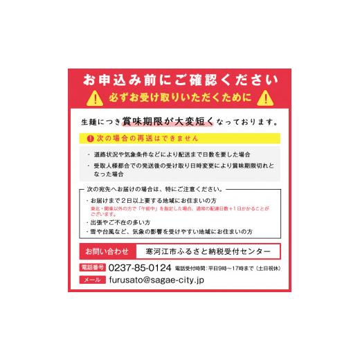 ふるさと納税 山形県 寒河江市 地元人気店『そば処 ひふみ』二代目 辛いつけそば用 生そばセット（5人前） つゆ付　013…