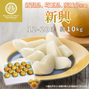 [予約 2023年 12月1日-12月10日の納品]  新興 和梨 約10kg 12-20玉 新潟県 埼玉県 茨城県 他 秋ギフト 梨 日本梨 冬ギフト お歳暮 御歳暮