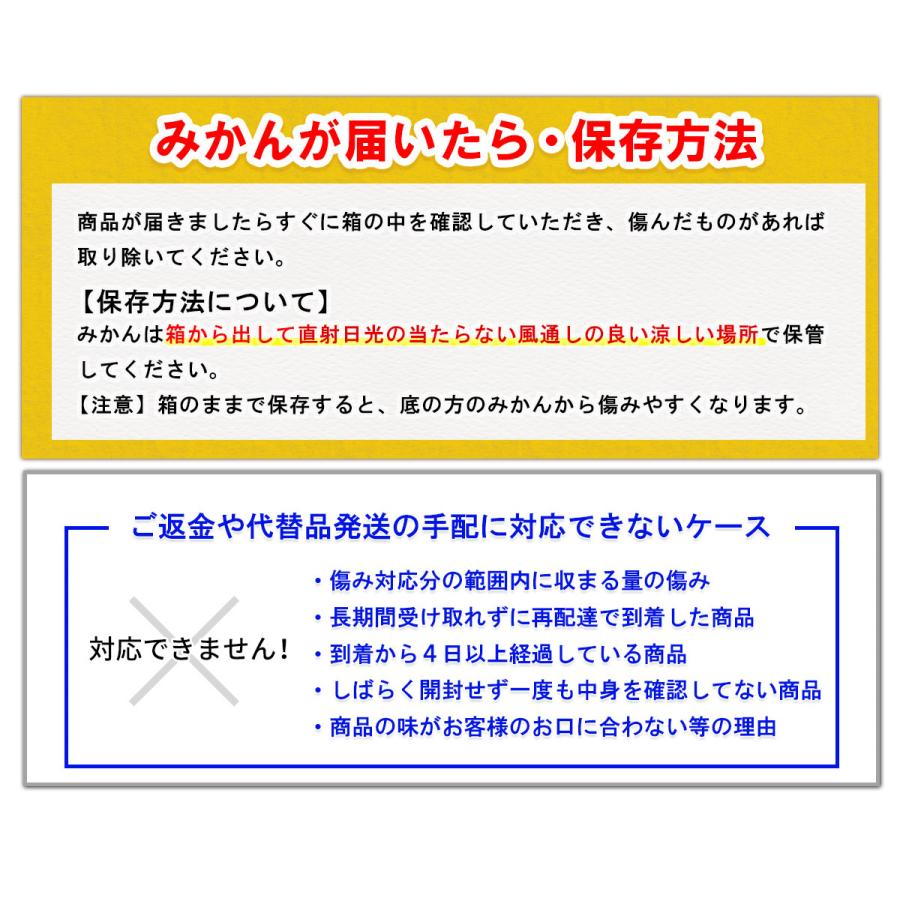 愛媛県産 小玉 みかん こまちゃん 5kg×2箱セット 家庭用 自宅用 訳あり 愛媛みかん 送料無料 プチ 小粒 箱買い 蜜柑 温州 早生 南柑 20号 10キロ