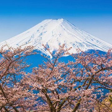 飽覽富士山美饌名湯-25JTNRTS02