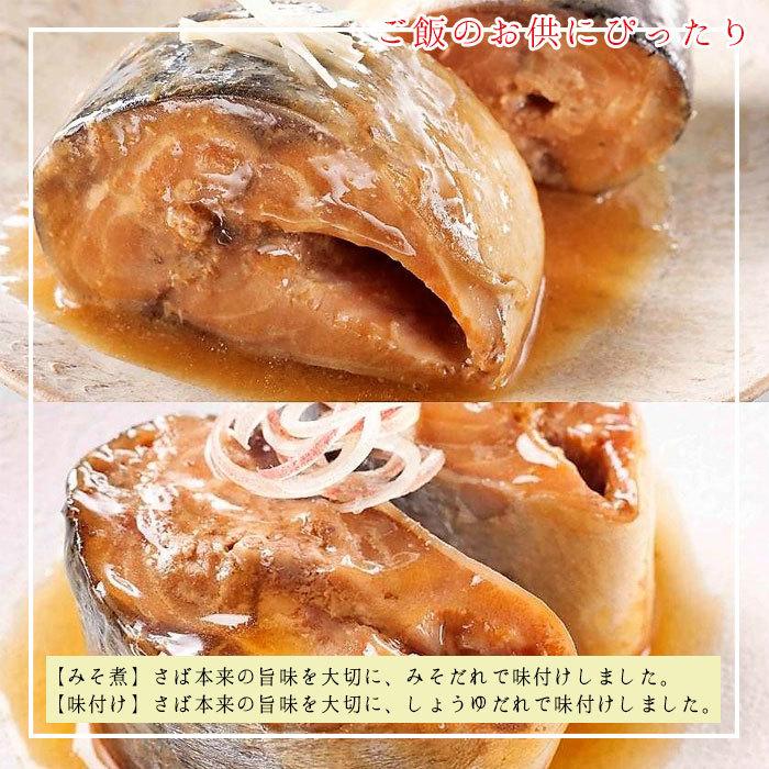 HOKO 宝幸 日本のさば 缶詰 魚 防災 非常食 鯖缶 味噌煮＆味付け 各6缶 12缶 セット サバ缶 味噌煮 味付け缶 12缶セット 鯖 さば