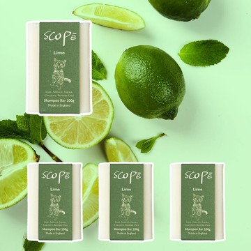 青檸洗髮皂裸裝4入【詩可貝SCOPē】 婚禮小物