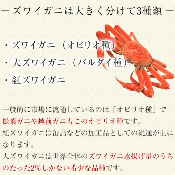 ズワイガニ 1kg 生冷凍 カット済み かに カニ 蟹 ズワイ ずわいがに ギフト 送料無料 生食 3L