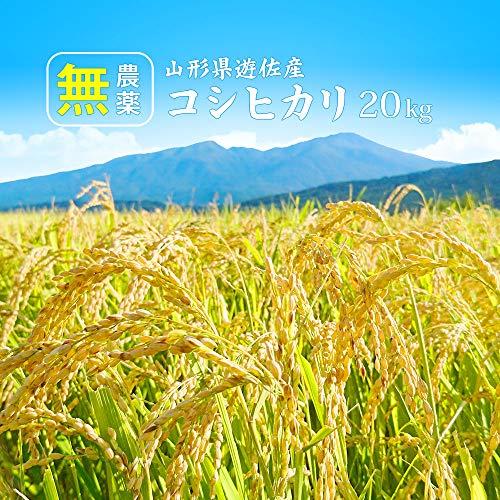  無農薬 コシヒカリ 20kg (5kgx4袋) 令和5年産 山形県庄内産 特別栽培米(化学肥料不使用・農薬不使用)