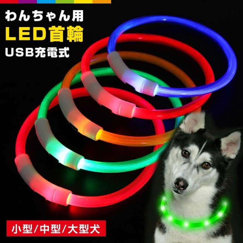 激安先着 犬 首輪 光る 光る首輪 Led キラキラ 夜散歩ライト Usb充電 安全ライト ペット リード 猫 小型犬 中型犬 大型犬 Usb 危険防止 ライトカラー 3サイズ Shipsctc Org