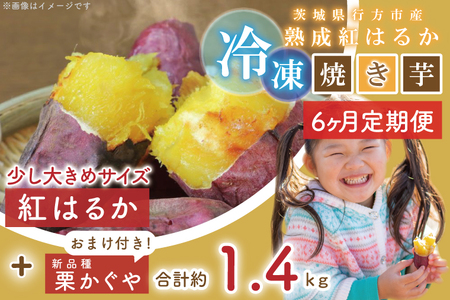 EY-16　茨城県行方市産熟成紅はるか少し大きめサイズ冷凍焼き芋約1.2キロ！おまけ付‼合計約1.4キロ!!!