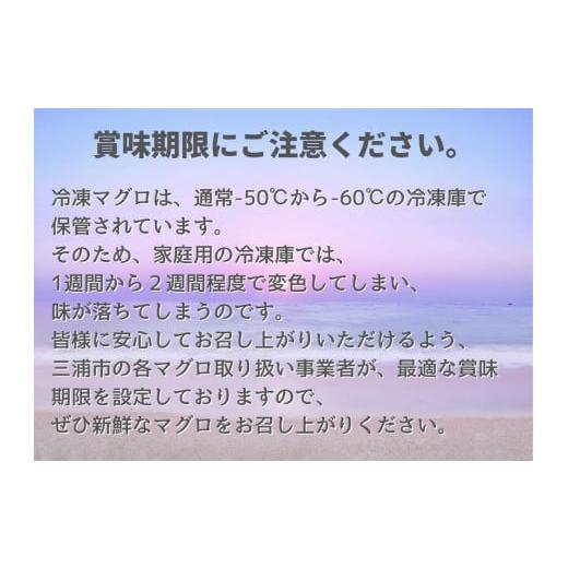 ふるさと納税 神奈川県 三浦市 A12-030 天然マグロお刺身セット（中トロ赤身・希少部位）