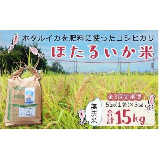 ふるさと納税 富山県 滑川市 ほたるいか米（無洗米５kg）×3回 計15kg