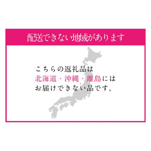 ふるさと納税 岡山県 里庄町 桃 2024年 先行予約 岡山の白桃 300g以上×6玉 白桃 旬 みずみずしい 晴れの国 おかやま 岡山県産 フルーツ王国 果物王国