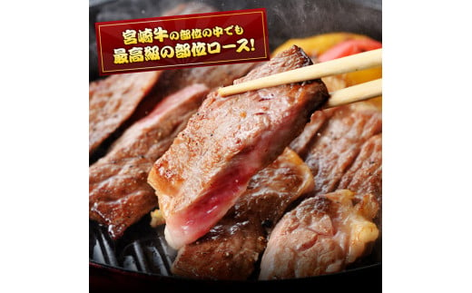 ５等級！宮崎牛ロースステーキ500g 肉 牛 牛肉 国産 黒毛和牛 [E0613]