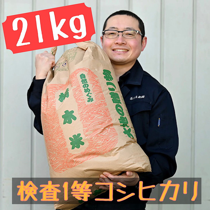 栃木県産 コシヒカリ 白米21kg
