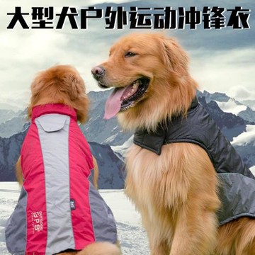 趣派狗狗衣服秋冬裝保暖金毛薩摩阿拉棉衣中大型犬寵物衣服加絨