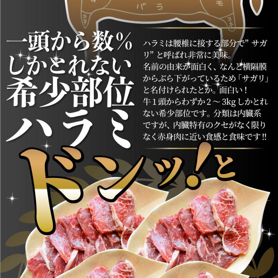 牛ハラミ焼肉（タレ漬け）10kg（250g×40） タレ 赤身 はらみ 秘伝 焼肉 やきにく ハラミ アウトドア お家焼肉 BBQ キャンプ キャンプ飯