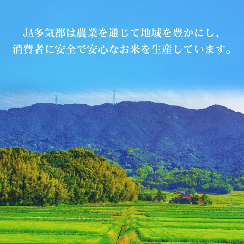 新米 無洗米 5kg×2袋 コシヒカリ 三重県産 10kg 令和5年産 多気農協 ぎんひめ限定 送料無料