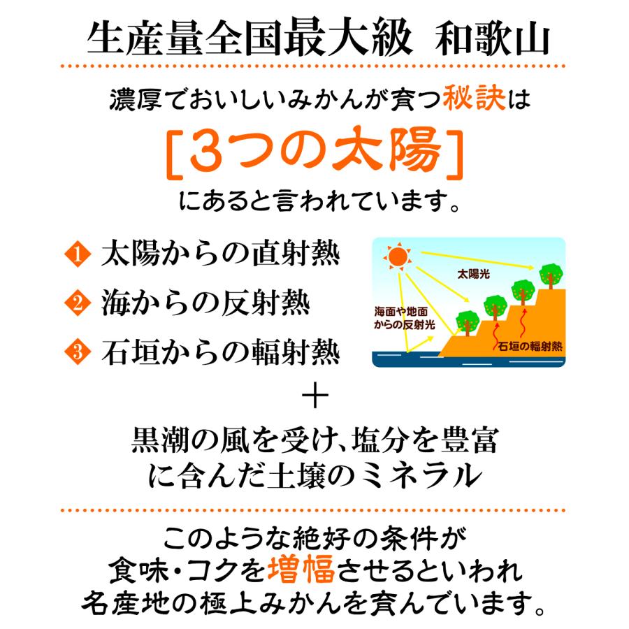 みかん 2kg 和歌山産 南紀黒潮高糖度みかん 大坊 蜜柑 温州 ギフト用 送料無料 食品