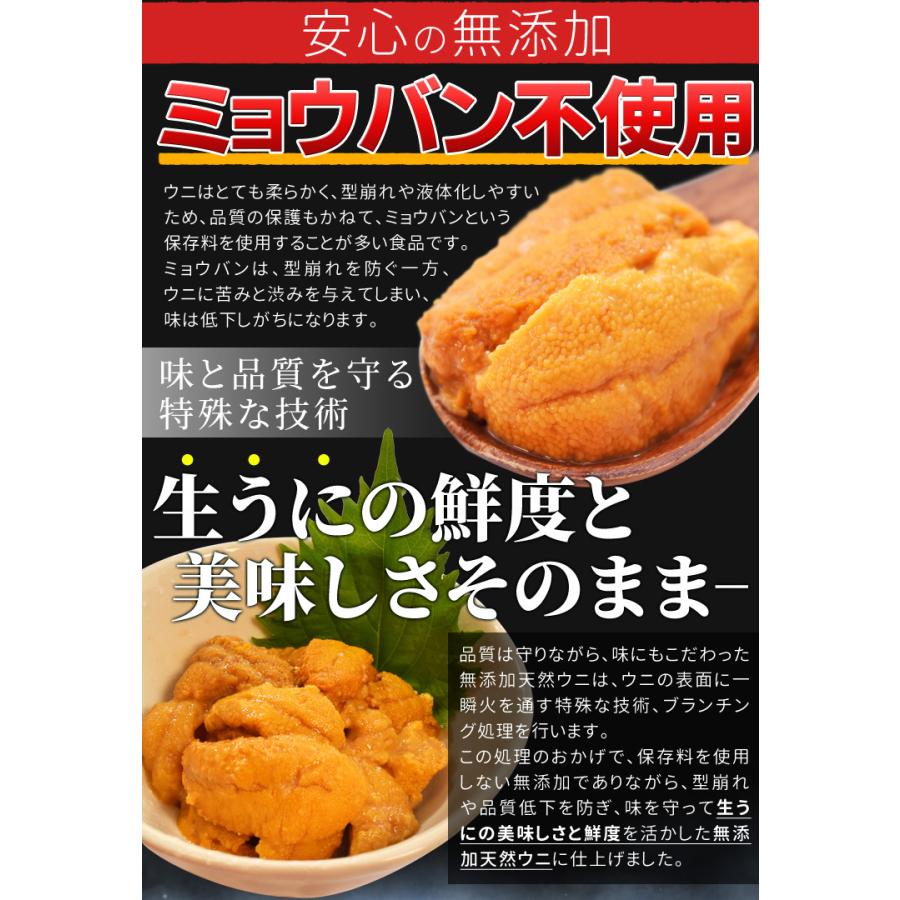 うに １００ｇ×１ 天然冷凍生ウニ 刺身雲丹 ミョウバン不使用 無添加 最高級グレードの雲丹 海鮮丼