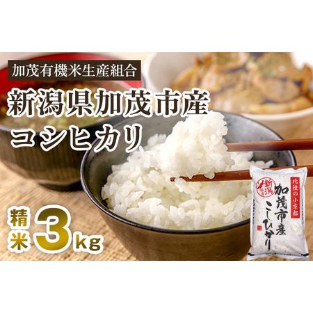 ふるさと納税 新潟県加茂市産コシヒカリ 精米3kg 白米 加茂有機米生産組合 コシヒカリ 新潟県産コシヒカリ 米 お米 新潟県加茂市