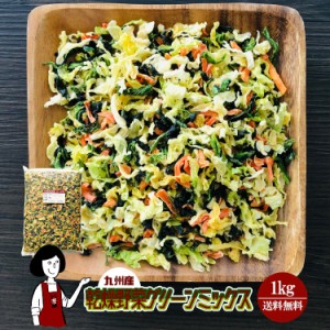 乾燥野菜グリーンミックス1kg〔チャック付〕／九州産 乾燥野菜 キャベツ ホウレン草 人参 宅配便 送料無料 チャック付 九州産 ミックス