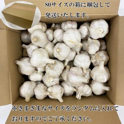 ふるさと納税 あさぎり町 熊本県産　生にんにく 2kg