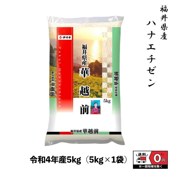 ハナエチゼン 米 5kg  令和4年産 福井県産 米 お米 白米 おこめ 華越前 精米 単一原料米 ブランド米 5キロ 送料無料 国内産 国産