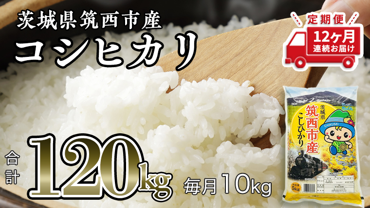  茨城県筑西市産 コシヒカリ 10kg 米 コメ コシヒカリ こしひかり 茨城県 単一米 精米 [CH010ci]