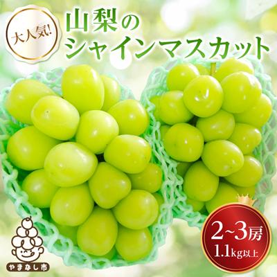 ふるさと納税 山梨市 大人気!山梨のシャインマスカット2〜3房　1.1kg以上 ふるさと納税