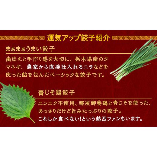 ふるさと納税 栃木県 宇都宮市 宇都宮餃子　ちょう×3いい感じ餃子　合計100個　保存料不使用