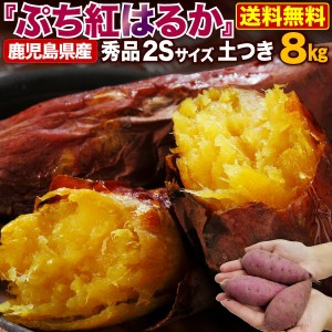 予約商品 11月初旬以降順次発送 さつまいも 鹿児島県産 ぷち紅はるか 8kg サツマイモ 生芋 小さいサイズ  プチ 土つき 産地直送 送料無料