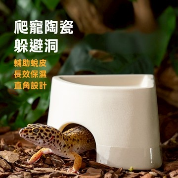 陸龜驛站｜守宮躲避屋 加濕保濕 洞穴山洞爬蟲兩棲守宮盒窩躲避屋豹紋守宮肥尾蜥蜴角蛙蛇